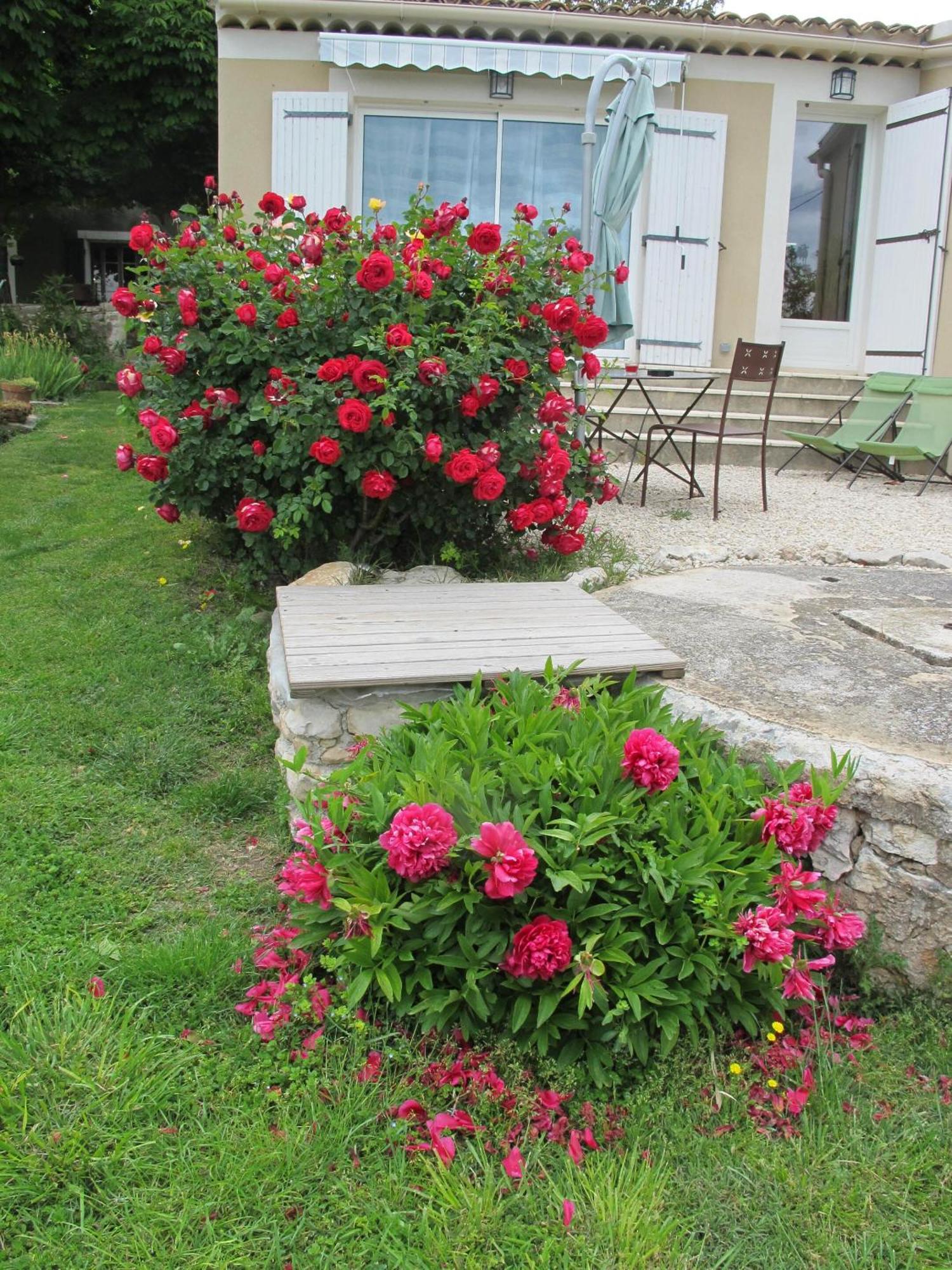 Bed and Breakfast Lou Cardalines Bédoin Exteriér fotografie