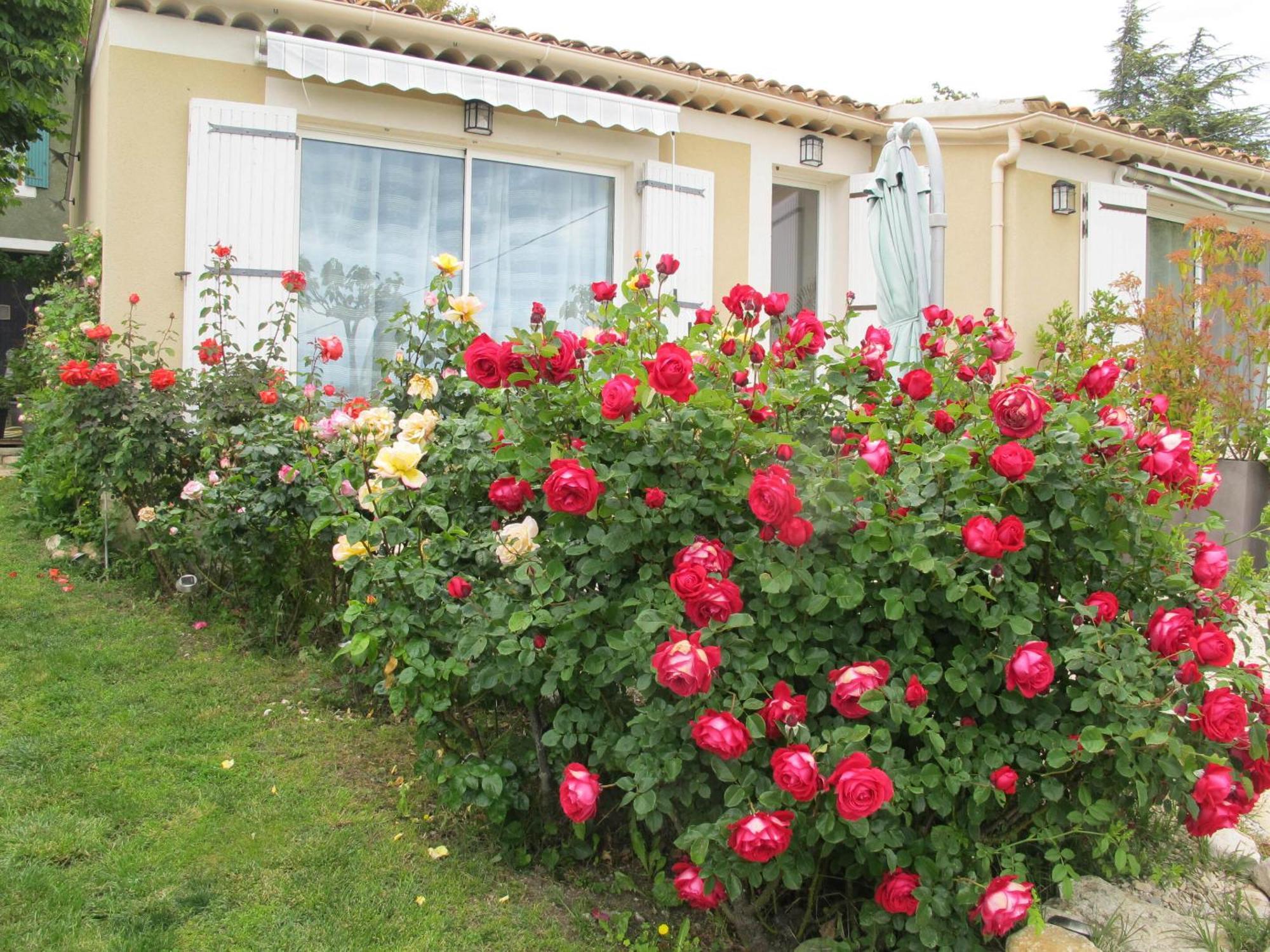 Bed and Breakfast Lou Cardalines Bédoin Exteriér fotografie